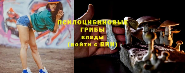 гашиш Абаза