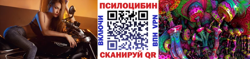 Псилоцибиновые грибы мицелий  Кемь 
